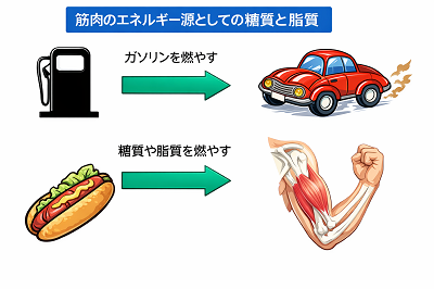 ���������̔R��